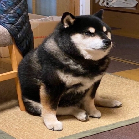 1151527